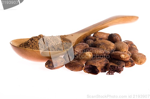 Image of Cacao beans isolated on white background