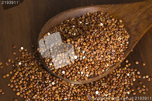 Image of Quinoa grain