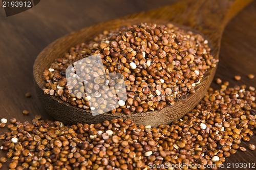 Image of Quinoa grain