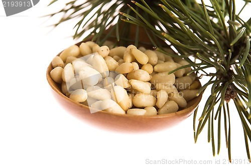 Image of Pine nuts