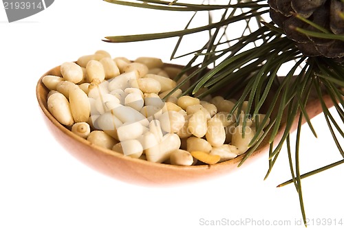 Image of Pine nuts