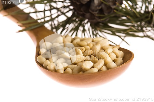 Image of Pine nuts