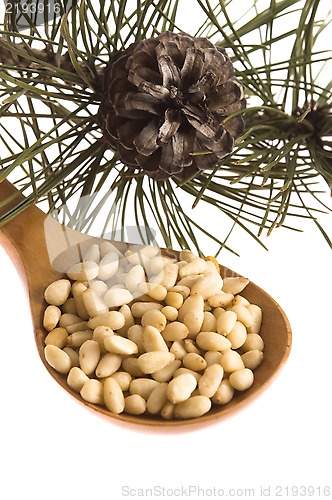 Image of Pine nuts