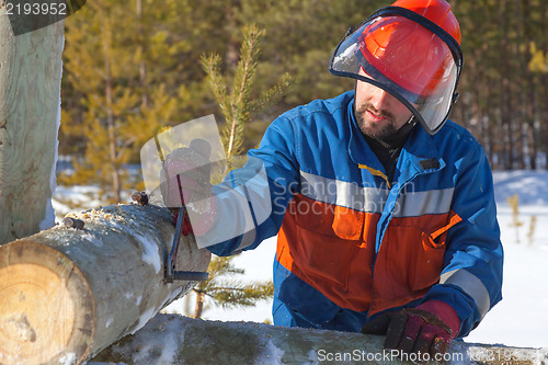 Image of Worker in blue overalls mounts support power lines