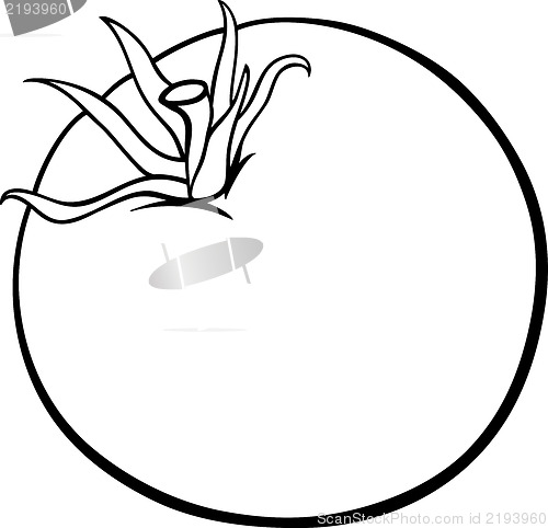 Image of tomato vegetable cartoon for coloring book