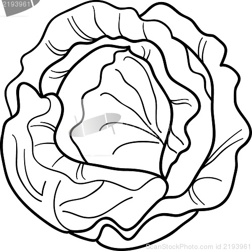 Image of cabbage vegetable cartoon for coloring book