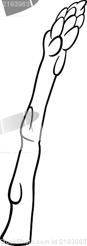 Image of asparagus vegetable cartoon for coloring book