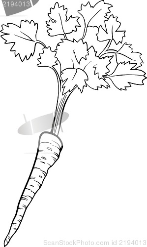 Image of parsley vegetable cartoon for coloring book