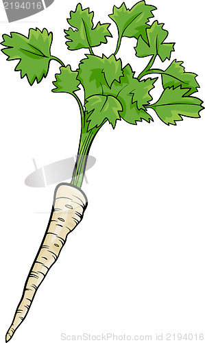 Image of parsley root vegetable cartoon illustration