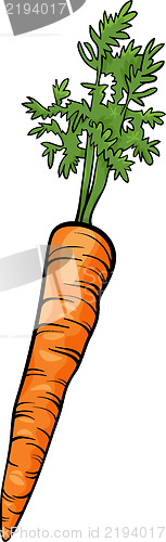 Image of carrot root vegetable cartoon illustration
