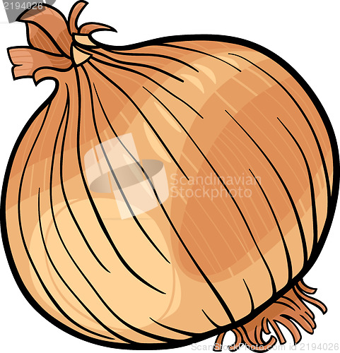 Image of onion vegetable cartoon illustration