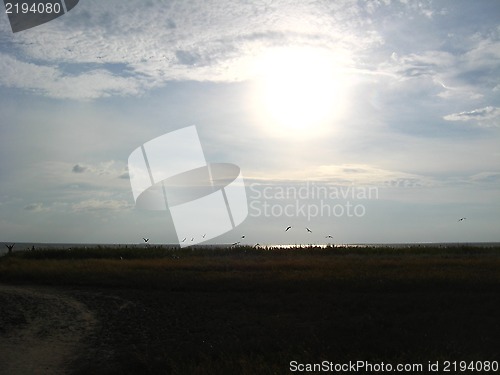 Image of Evening landscape with clouds and birds