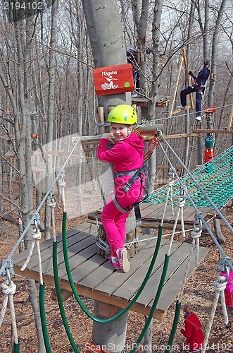 Image of Little climber