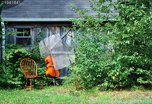 Image of Cello.