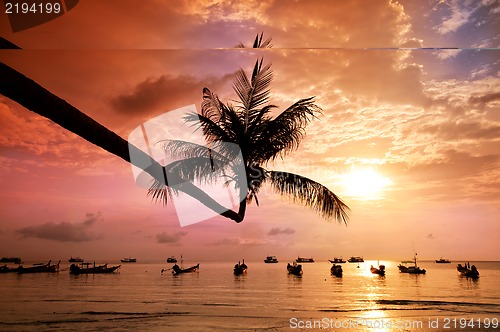 Image of Sunset with palm and boats on tropical beach