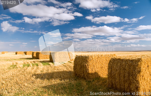 Image of Hay bales 1