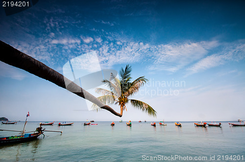 Image of palm and boats on tropical beach, Thailand