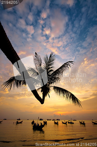 Image of Sunset with palm and boats on tropical beach