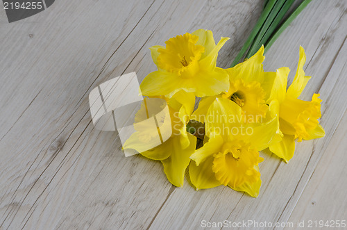 Image of Jonquil flowers