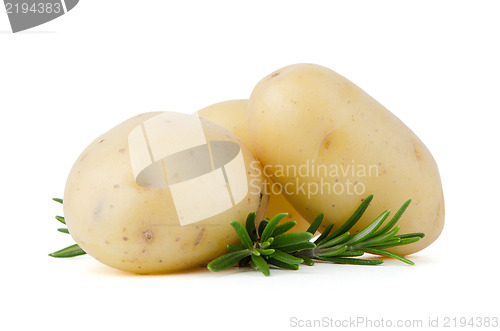 Image of New potatoes and green herbs