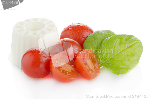 Image of Fresh white cheese
