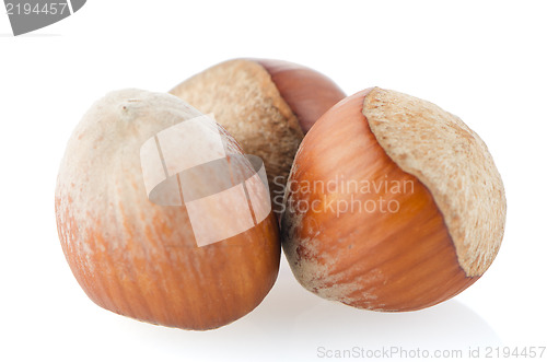 Image of Three hazelnuts