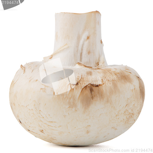 Image of Champignon mushroom