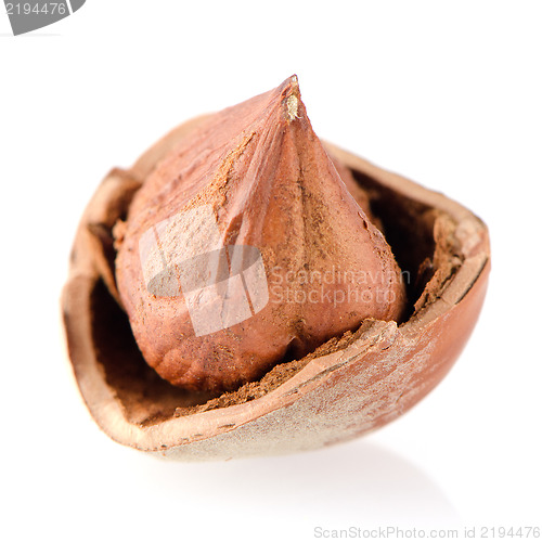 Image of Tasty hazelnuts