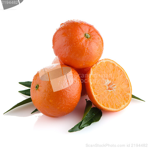 Image of Tangerines