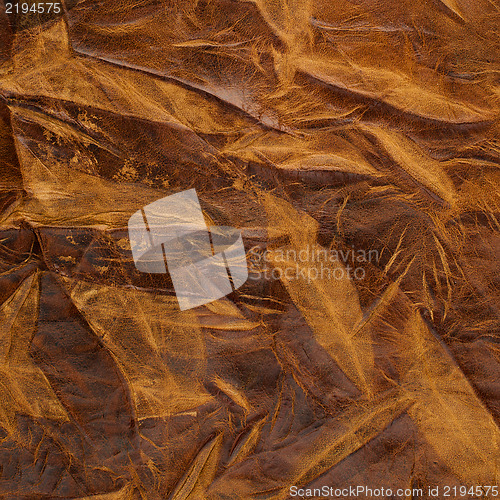 Image of Brown leather