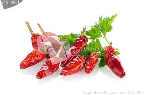 Image of Red chili or chilli pepper and parsley leaves