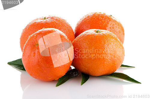 Image of Ripe tangerines or mandarin