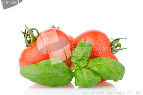 Image of Food ingredients
