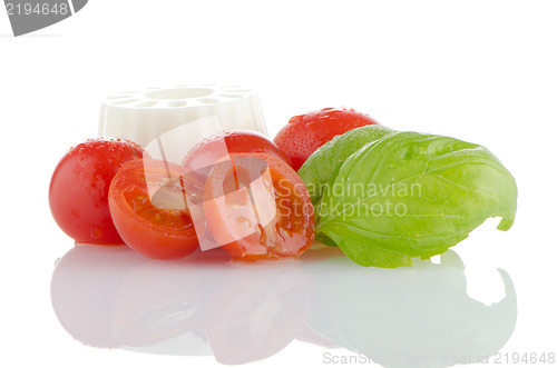 Image of Fresh white cheese
