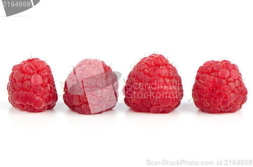 Image of Ripe red raspberry