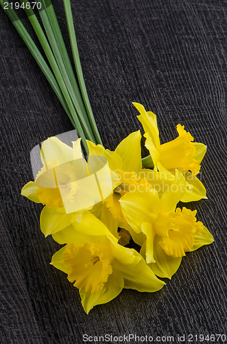 Image of Yellow jonquil flowers