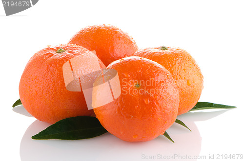 Image of Ripe tangerines or mandarin