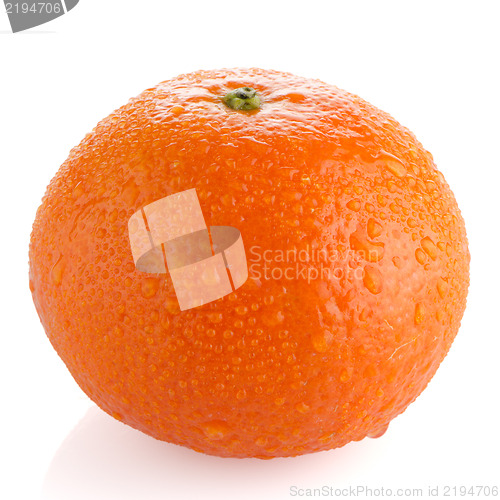 Image of Ripe tangerine or mandarin