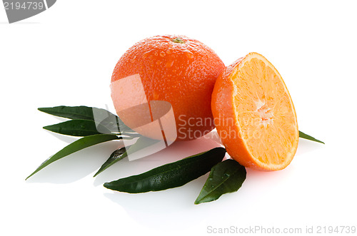 Image of Ripe tangerines or mandarin