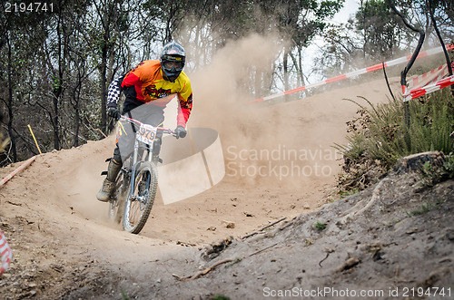 Image of Goncalo Correia