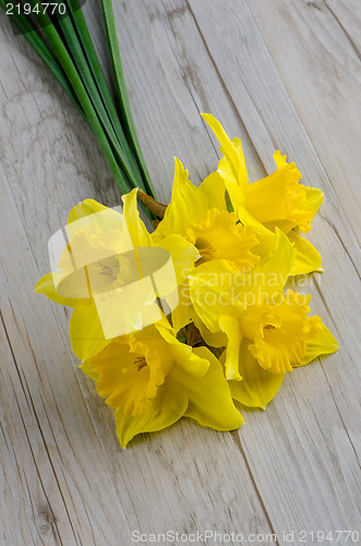 Image of Jonquil flowers