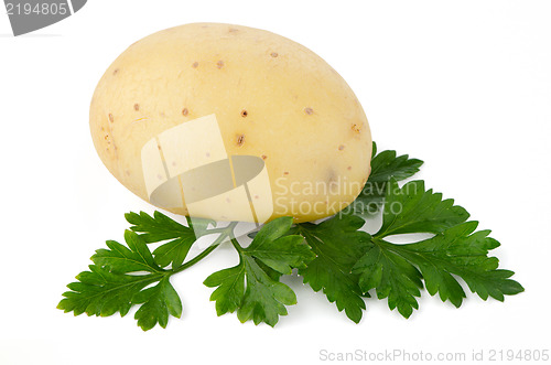 Image of New potato and green parsley