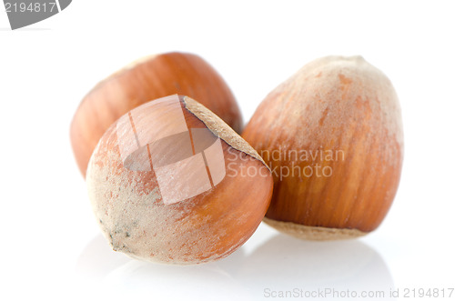 Image of Three hazelnuts