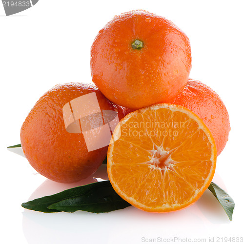 Image of Tangerines