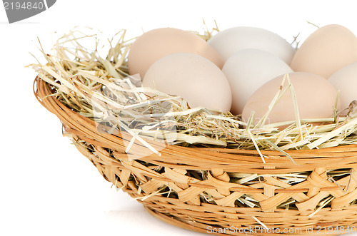 Image of Eggs closeup