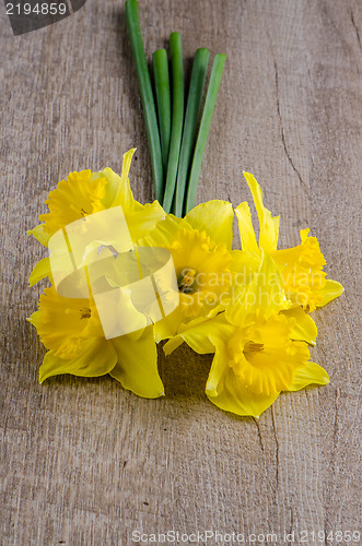 Image of Jonquil flowers