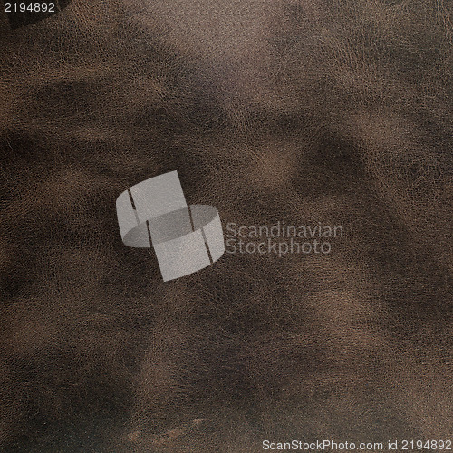 Image of Brown leather texture closeup