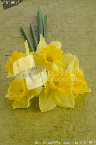 Image of Jonquil flowers