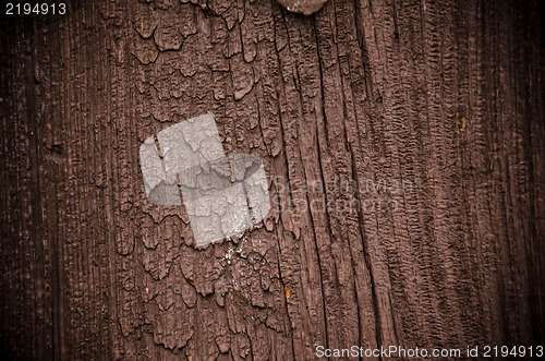 Image of Old wood texture