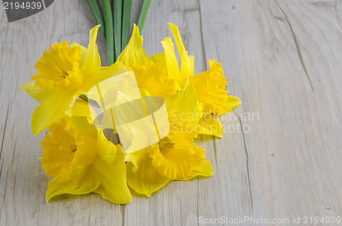 Image of Jonquil flowers